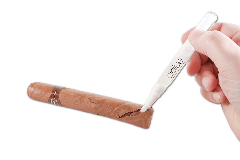 Ciglue