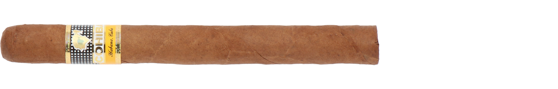 Cohiba Siglo V